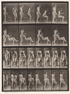 Plate 239. To modeller; den ene stående, den andre sitter, krysser beina av Eadweard Muybridge
