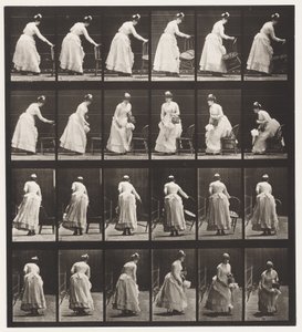 Plate 243.Plassere stol, sitte og flørte en vifte av Eadweard Muybridge