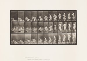 Plate 248. Setter seg ned på bakken av Eadweard Muybridge