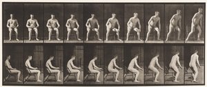 Tallerken 249. Stiger opp fra stolen av Eadweard Muybridge