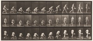 Plate 251. Kneler på venstre kne, kurv i venstre hånd og reiser seg, 1872-1885 av Eadweard Muybridge