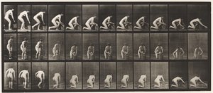 Plate 252. Kneler på høyre kne og skrubber gulvet, 1872-1885 av Eadweard Muybridge