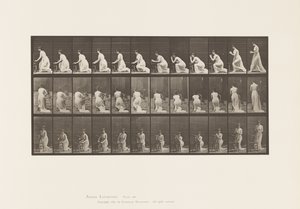 Tallerken 253. Knelende albuer på stolen, hendene sammen, 1885 av Eadweard Muybridge