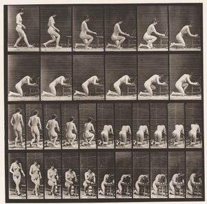 Tallerken 254. Knestående, albuer på stolen, hendene sammen av Eadweard Muybridge