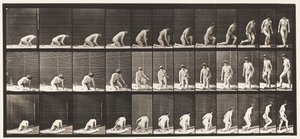 Tallerken 255. Oppstår fra knestående og vending av Eadweard Muybridge