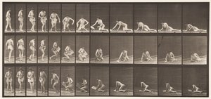 Plate 256. Liggende på bakken og lesing, 1872-1885 av Eadweard Muybridge