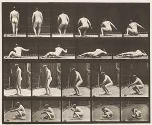 Plate 257. Liggende på bakken, 1885 av Eadweard Muybridge
