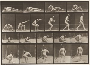 Plate 258. Står opp fra bakken og går av av Eadweard Muybridge