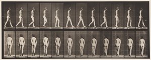 Plate 25. Gå, med høyhælte sko på av Eadweard Muybridge
