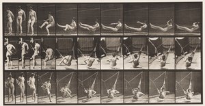 Plate 261. Komme inn i hengekøye, 1872-1885 av Eadweard Muybridge