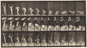 Plate 262. Komme ut av hengekøyen av Eadweard Muybridge