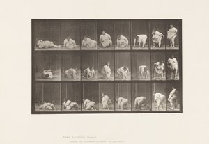 Plate 268. Oppstår fra bakken, 1885 av Eadweard Muybridge