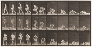 Plate 269. Står opp fra bakken med avis i venstre hånd, 1872-1885 av Eadweard Muybridge