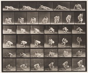 Plate 270. Står opp fra bakken med brosjyre i venstre hånd av Eadweard Muybridge