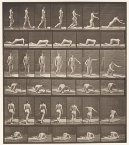 Plate 272. Snubler og faller på bakken av Eadweard Muybridge