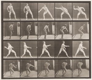 Plate 273. Base-ball; Pitching av Eadweard Muybridge