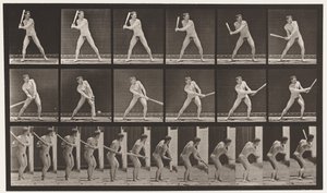 Plate 275.Base-ball; Batting (lav ball) av Eadweard Muybridge