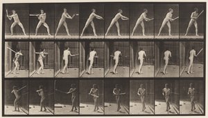 Plate 277. Base-ball; Batting av Eadweard Muybridge