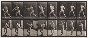 Plate 278. Base-ball; Batting av Eadweard Muybridge