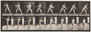 Plate 279.Base-ball; Batting, 1885 av Eadweard Muybridge