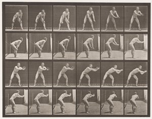 Plate 280.Base-ball; Fangst, 1885 av Eadweard Muybridge
