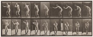 Plate 281. Base-ball; Fangst og kaster av Eadweard Muybridge