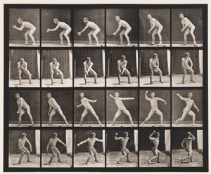 Plate 283.Base-ball; Fang og kast, 1885 av Eadweard Muybridge