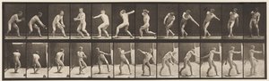 Plate 284.Base-ball; Fang og kast, 1885 av Eadweard Muybridge