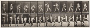 Plate 285. Base-ball; Fangst og kaster av Eadweard Muybridge
