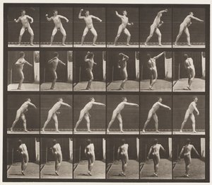 Plate 286. Base-ball; Kaster av Eadweard Muybridge