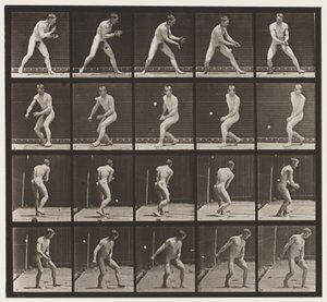 Plate 288. Base-ball; Feil av Eadweard Muybridge