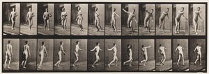 Plate 289.Cricket; Round Arm Bowling, 1885 av Eadweard Muybridge