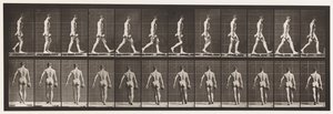 Plate 28. Gående, bærende 50 lb. Dumb-Bell i høyre hånd, 1872-1885 av Eadweard Muybridge