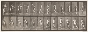 Plate 290.Cricket; Over Arm Bowling, 1885 av Eadweard Muybridge