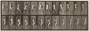 Plate 292.Cricket; Batting; Tilbake ut, 1885 av Eadweard Muybridge