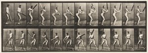 Plate 293.Cricket; Batting; Back Cut, 1885 av Eadweard Muybridge