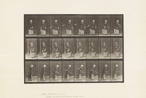 Plate 296. Plentennis av Eadweard Muybridge