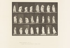 Tallerken 299. Leker med en ball av Eadweard Muybridge