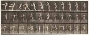 Tallerken 301. Fotball; Punt, 1885 av Eadweard Muybridge