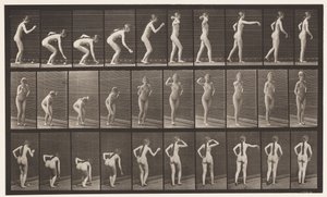 Tallerken 304. Å plukke opp en ball og kaste den av Eadweard Muybridge