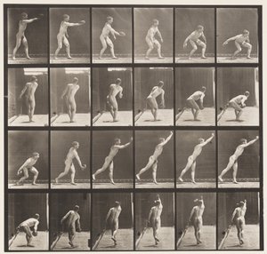 Plate 307. Kaste en jernskive, 1872-1885 av Eadweard Muybridge
