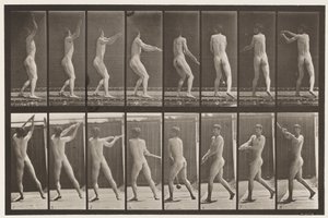 Plate 309. Kaste hammeren av Eadweard Muybridge