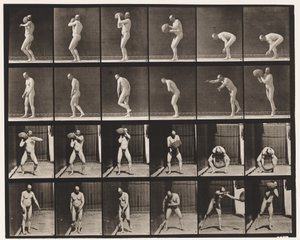 Plate 312. Heaving a 75-lb stein av Eadweard Muybridge