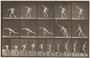 Plate 313. Heaving a 20-lb Rock, 1885 av Eadweard Muybridge