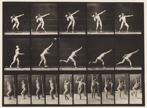 Plate 314. Heaving a 20-lb stein av Eadweard Muybridge