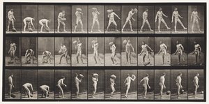 Plate 317. Heaving a 70-lb stein av Eadweard Muybridge