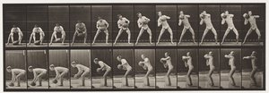 Plate 318. Lifting a 75-lb stein, 1872-1885 av Eadweard Muybridge