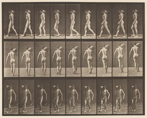 Plate 31. Gående, bærende 75-lb stein på høyre skulder av Eadweard Muybridge