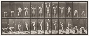 Plate 323. Løfting og slipp av to 50-lb dumbbells av Eadweard Muybridge