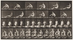 Plate 327. Roing av Eadweard Muybridge